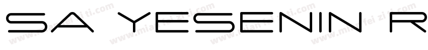 SA Yesenin Regular字体转换